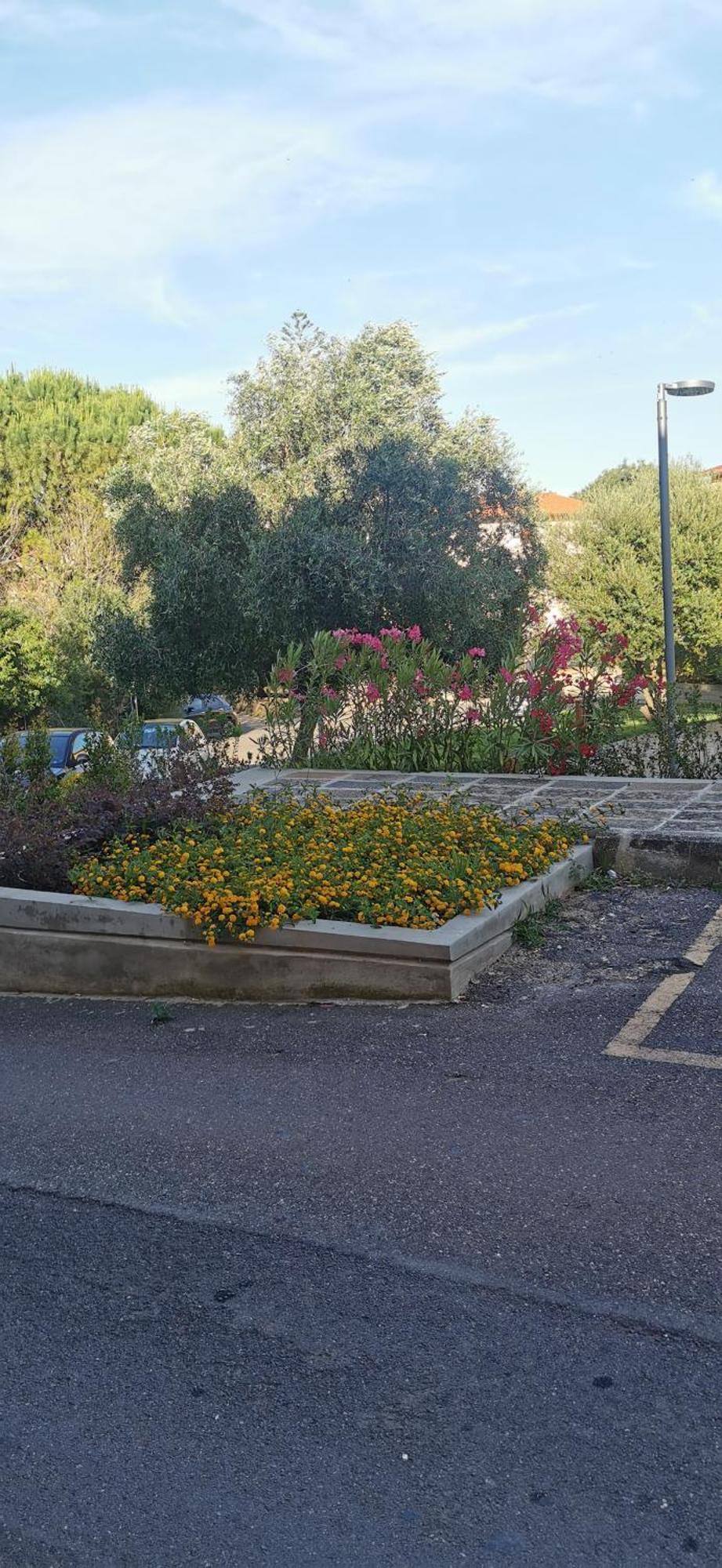 La Mariposa Vila Iglesias Exterior foto